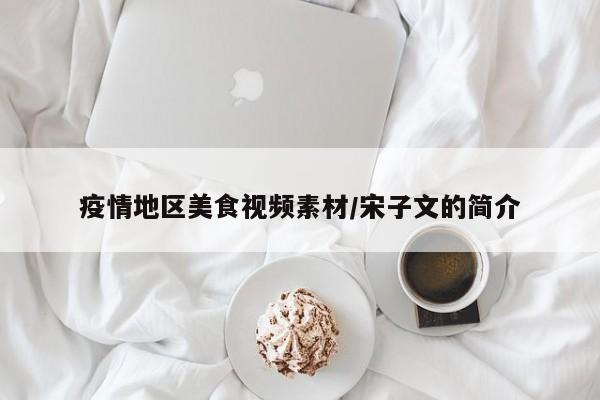 疫情地区美食视频素材/宋子文的简介